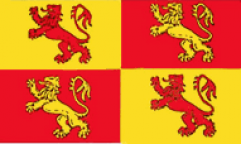 Owain Glyndwr Flags